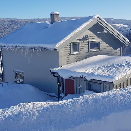 Lille Randklev Gaestehus Ringebu Esterno foto