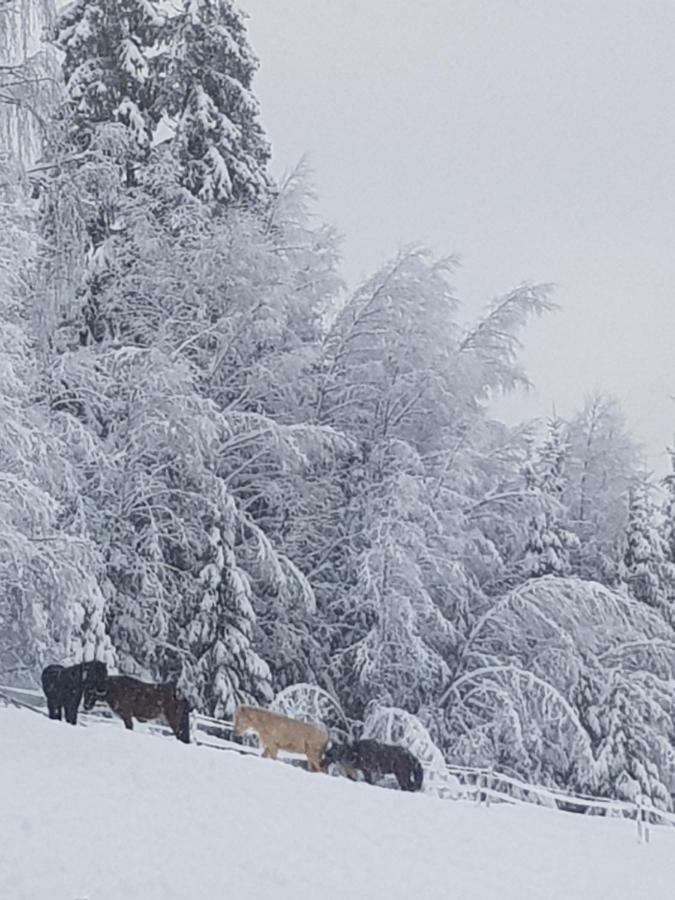 Lille Randklev Gaestehus Ringebu Esterno foto