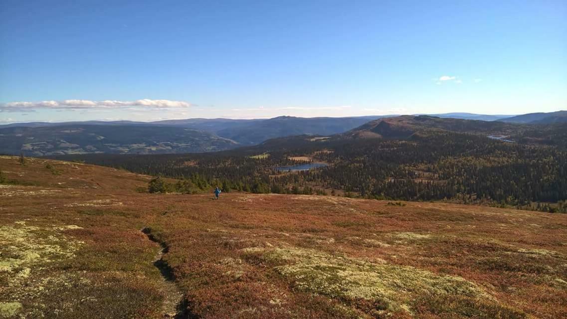 Lille Randklev Gaestehus Ringebu Esterno foto